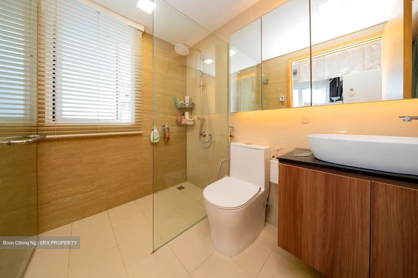 Waterview (D18), Condominium #581797301